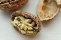 Aceitunas rellenas de NUECES con corazón de roquefort.